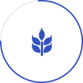 農(nóng)業(yè)(農(nóng)作物)